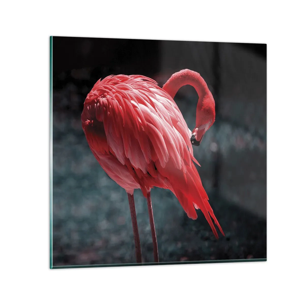 Glass picture - Crimson Poem of Nature - 60x60 cm