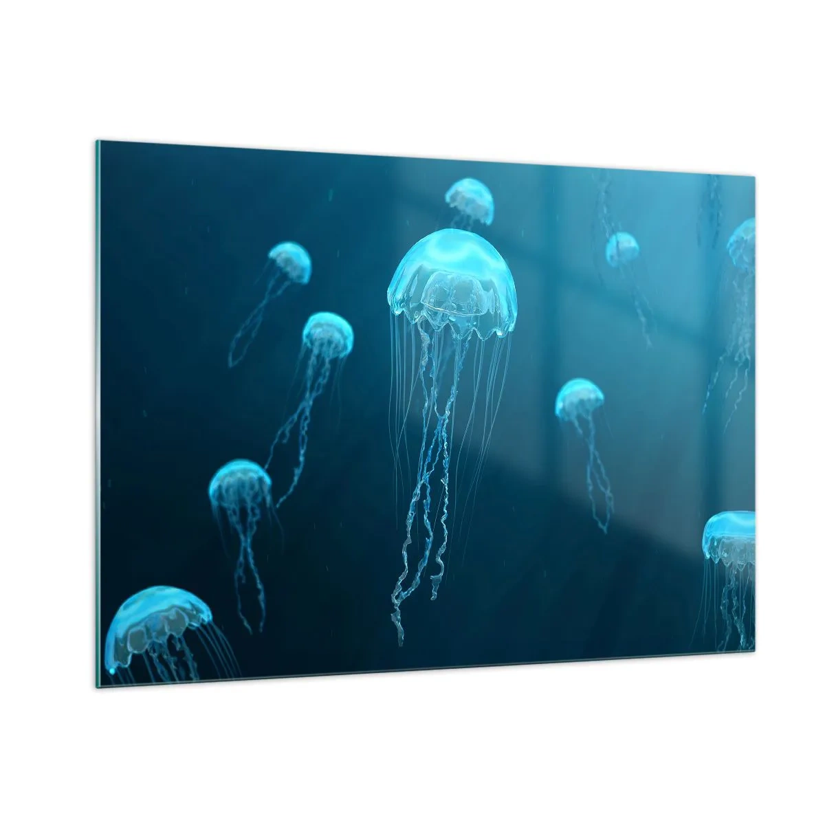 Glass picture - Ocean Dance - 100x70 cm