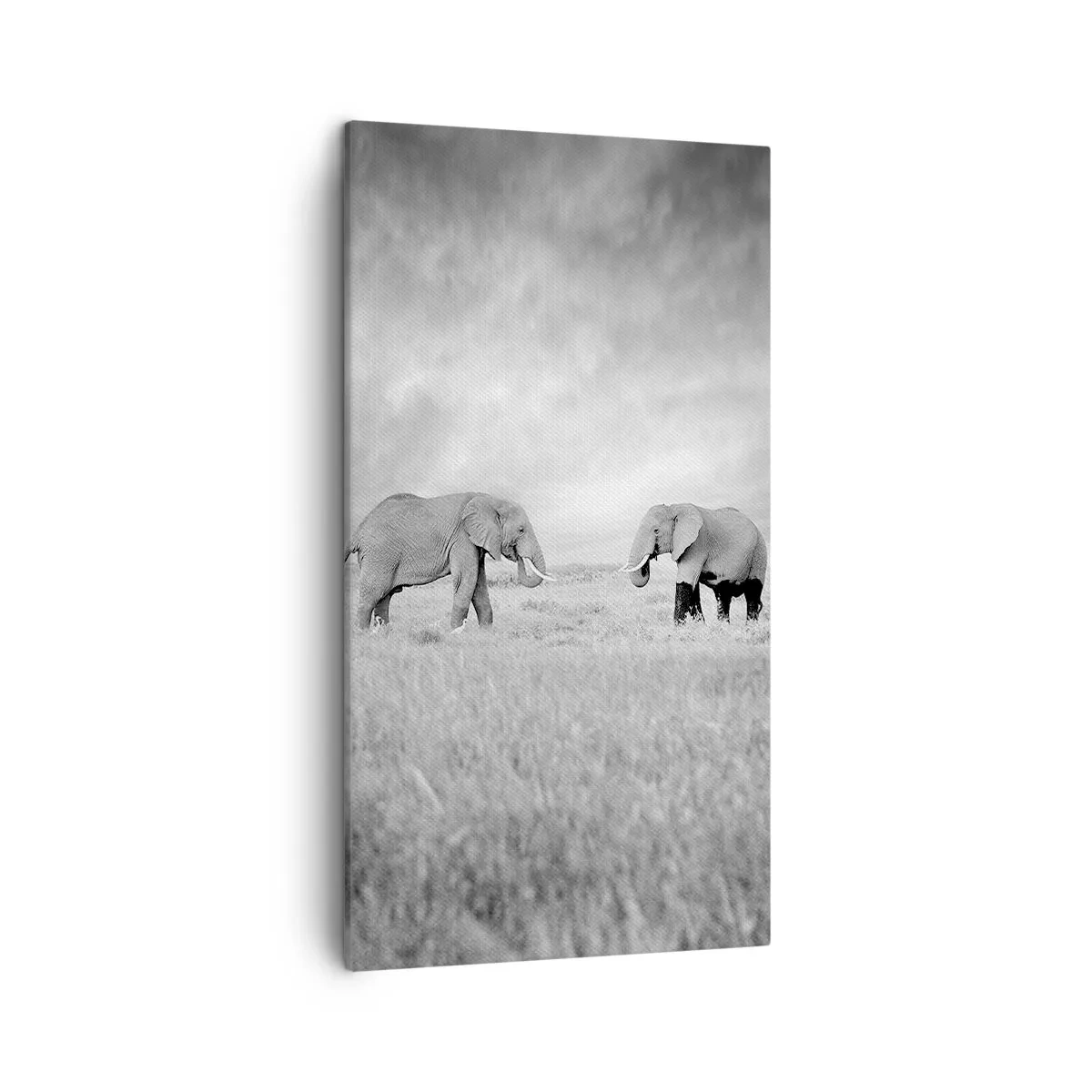 Canvas picture - Grey Is Beautiful - 45x80 cm