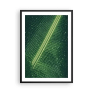 Poster in black frame - Close-up of a green leaf with water drops - 50x70cm - Structure of Green - Modern wall decoration for the living room and bedroom ARTTOR