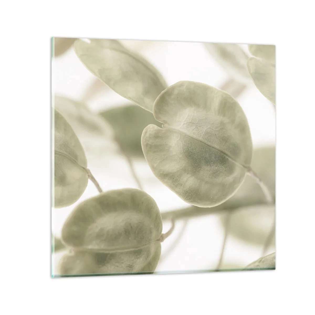 Glass picture - In the Beginning There Were Leaves… - 30x30 cm