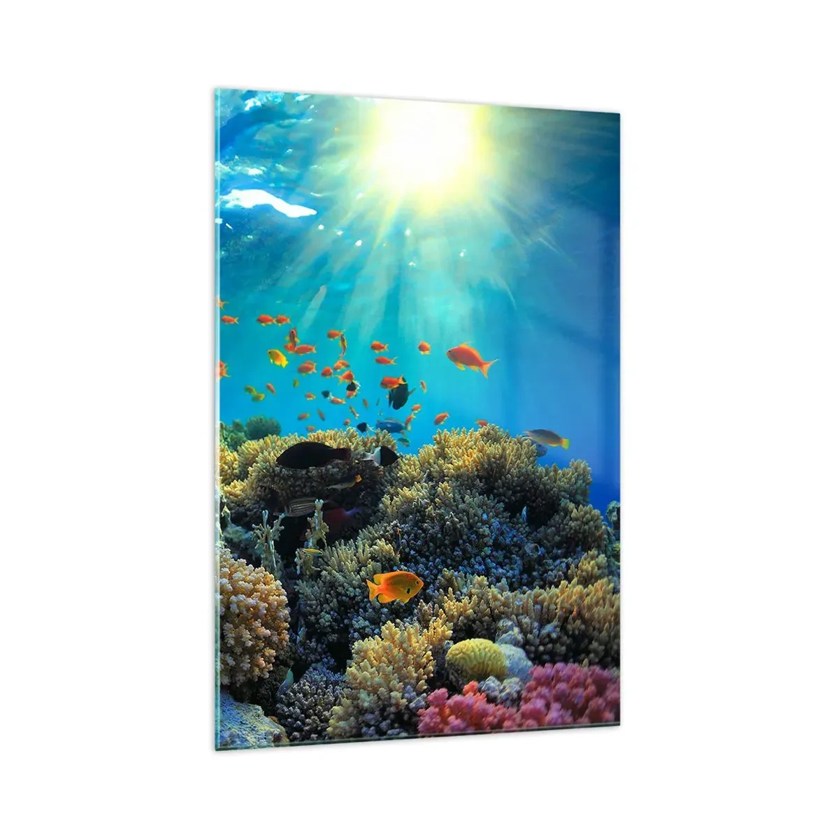 Glass picture - Underwater Treasures - 70x100 cm
