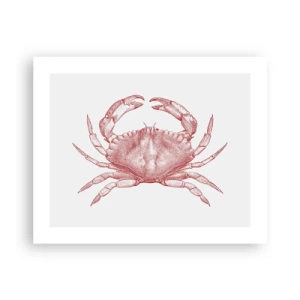 Poster - Crab Like No Other - 50x40 cm