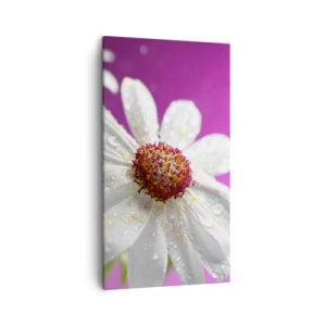 Canvas picture - Modest in Its Beauty - 45x80 cm