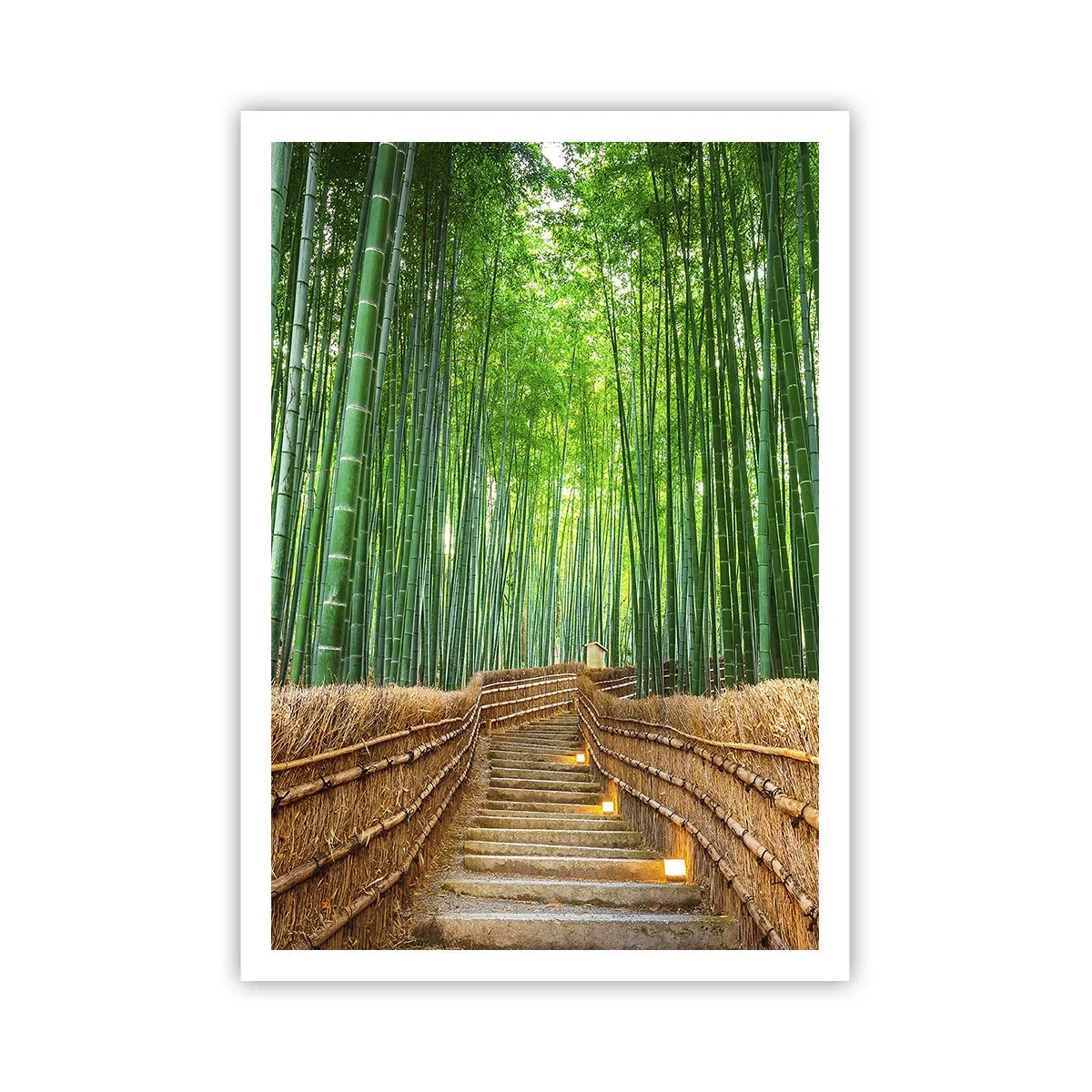 Poster - Essence of Asian Nature - 70x100 cm