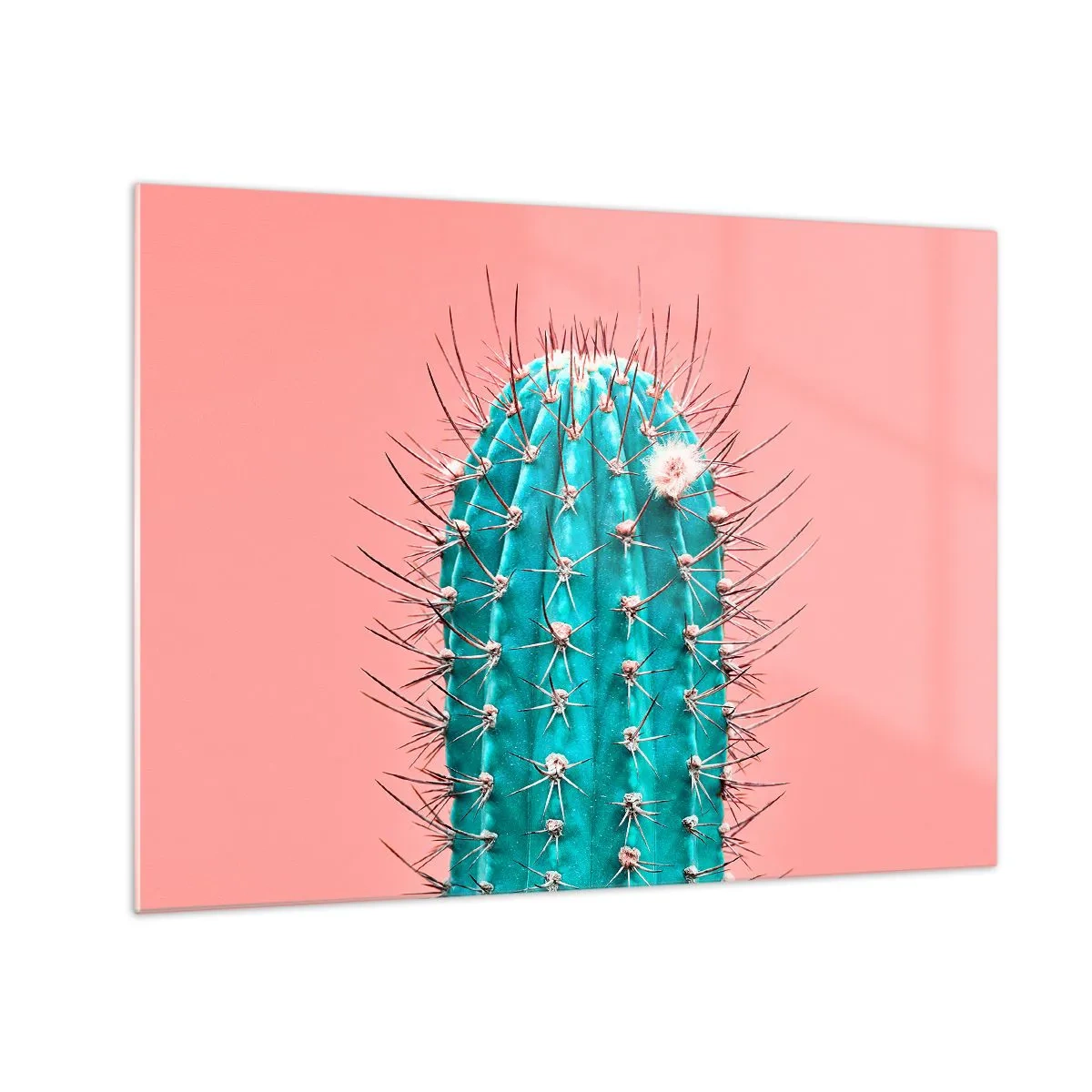 Glass picture - Green cactus with thorns on a pink background - 70x50cm - Just Look - Modern wall decoration for the living room and bedroom ARTTOR