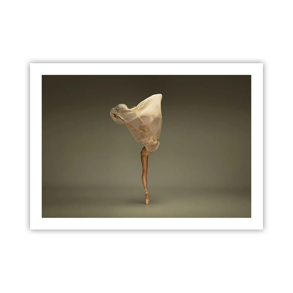 Poster - About To Fly - 70x50 cm