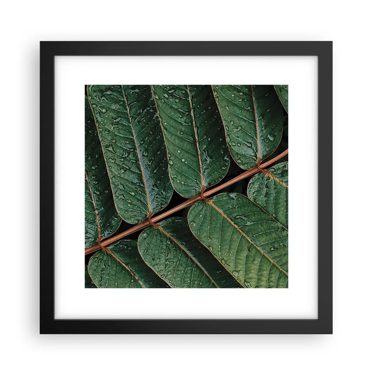 Poster in black frame - In Green Rhythm - 30x30 cm