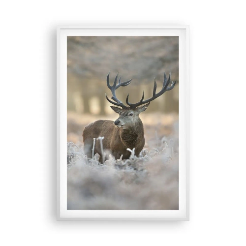 Poster in white frmae - Chilly Morning - 61x91 cm