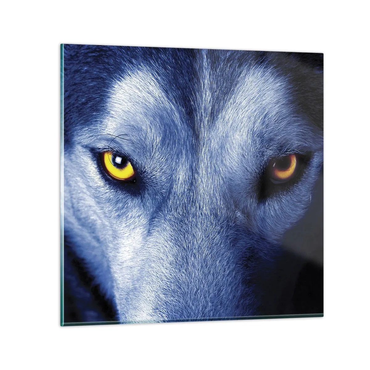 Glass picture - Mesmerising Look - 30x30 cm