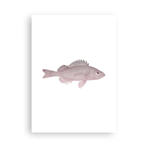Poster - Big-eyed Fish - 50x70 cm