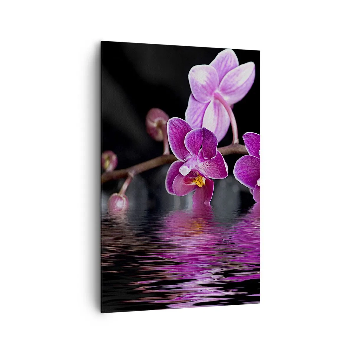 Canvas picture - Lilac Reflection of Beauty - 80x120 cm