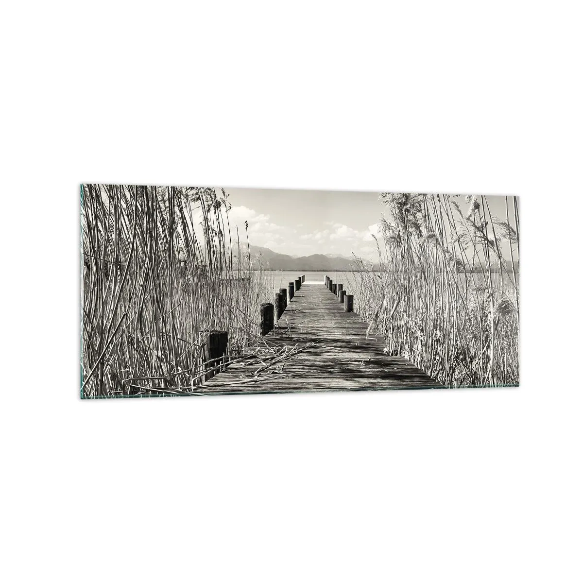 Glass picture - In the Grass - 120x50 cm