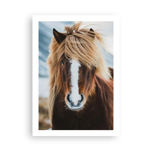 Poster - Can You Feel the Freedom? - 50x70 cm