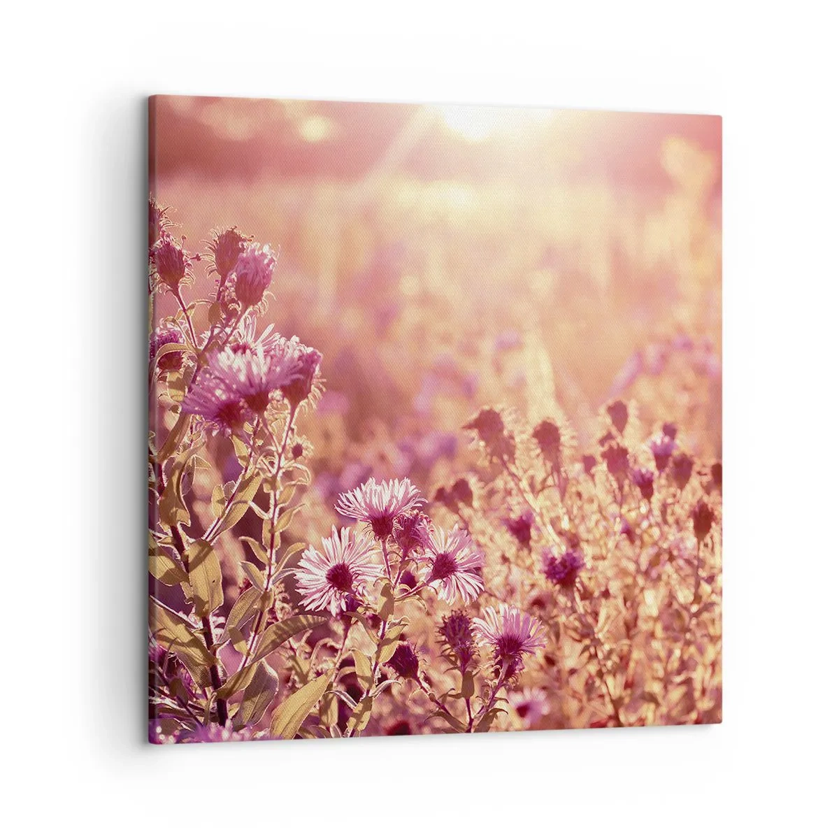 Canvas picture - Before Summer Goes - 50x50 cm