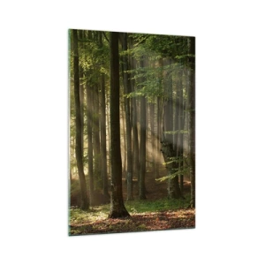Glass picture - Beaming in Spring Morning - 70x100 cm