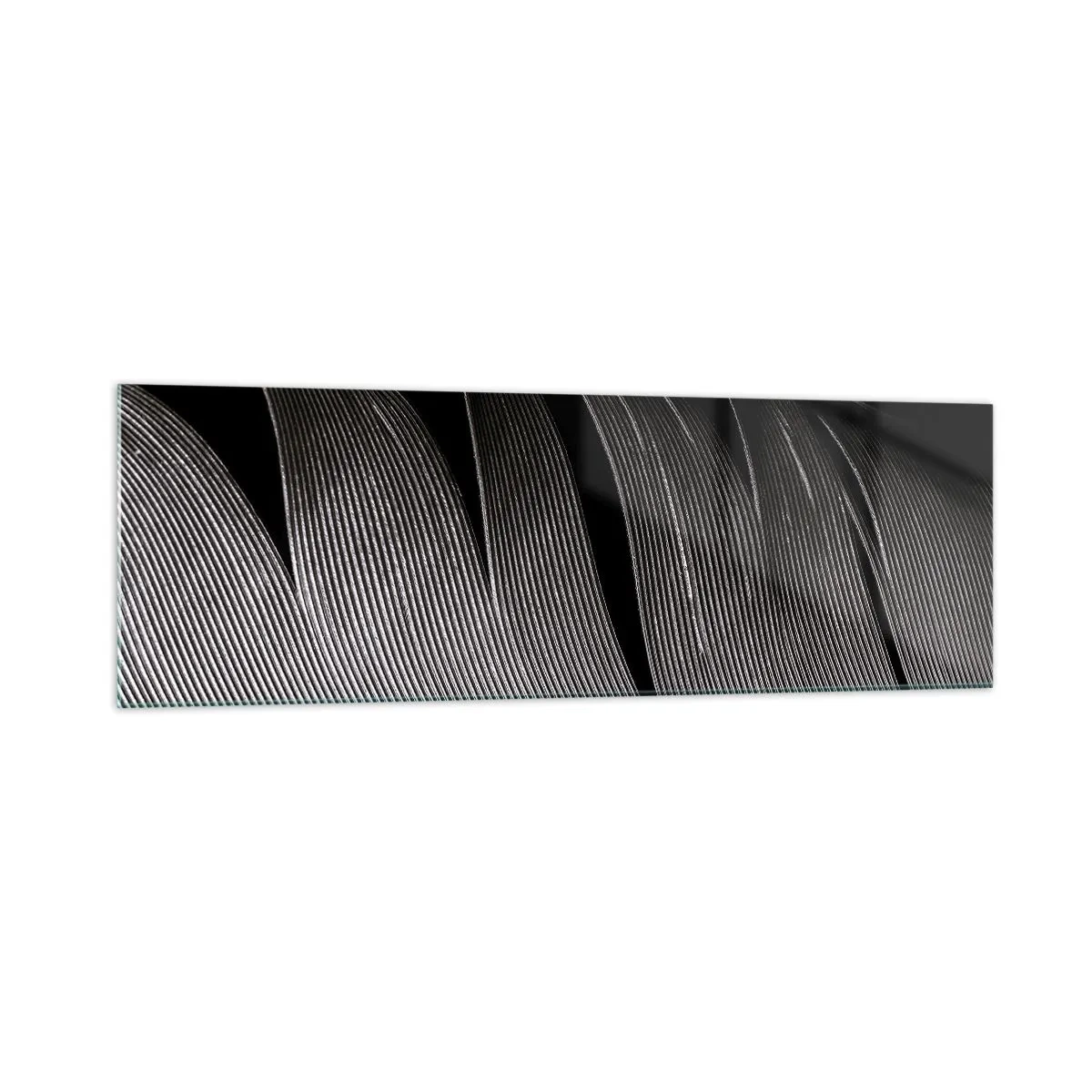 Glass picture - Feather - Wonderful Constract - 160x50 cm