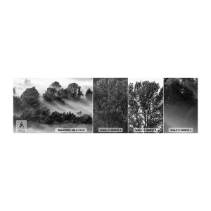 Photo Wallpaper Sample Self-Adhesive Deluxe Sticker - Rising from a Sleep - Landscape, Forest, Fog - 100x30 cm