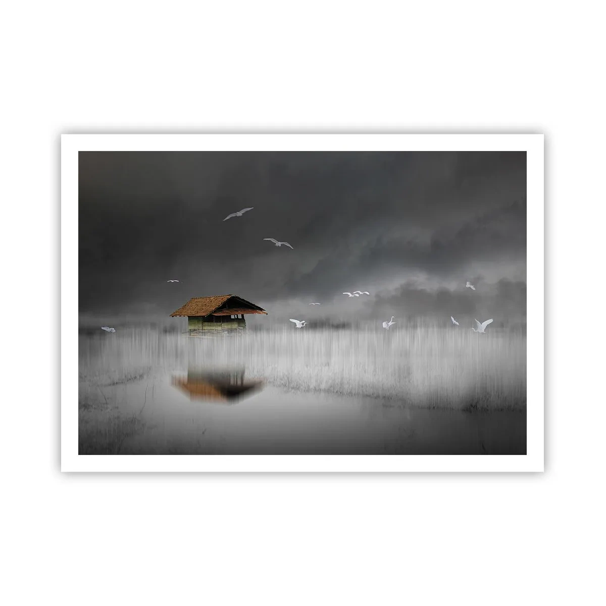 Poster - Shelter from the Rain - 100x70 cm