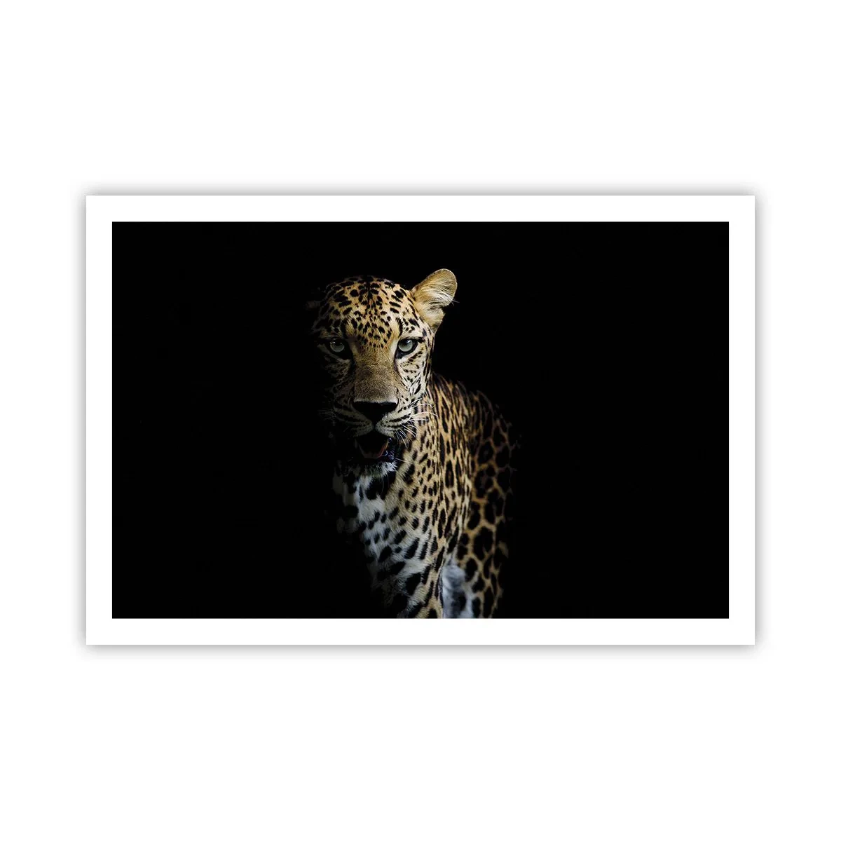 Poster - Dark Beauty - 91x61 cm