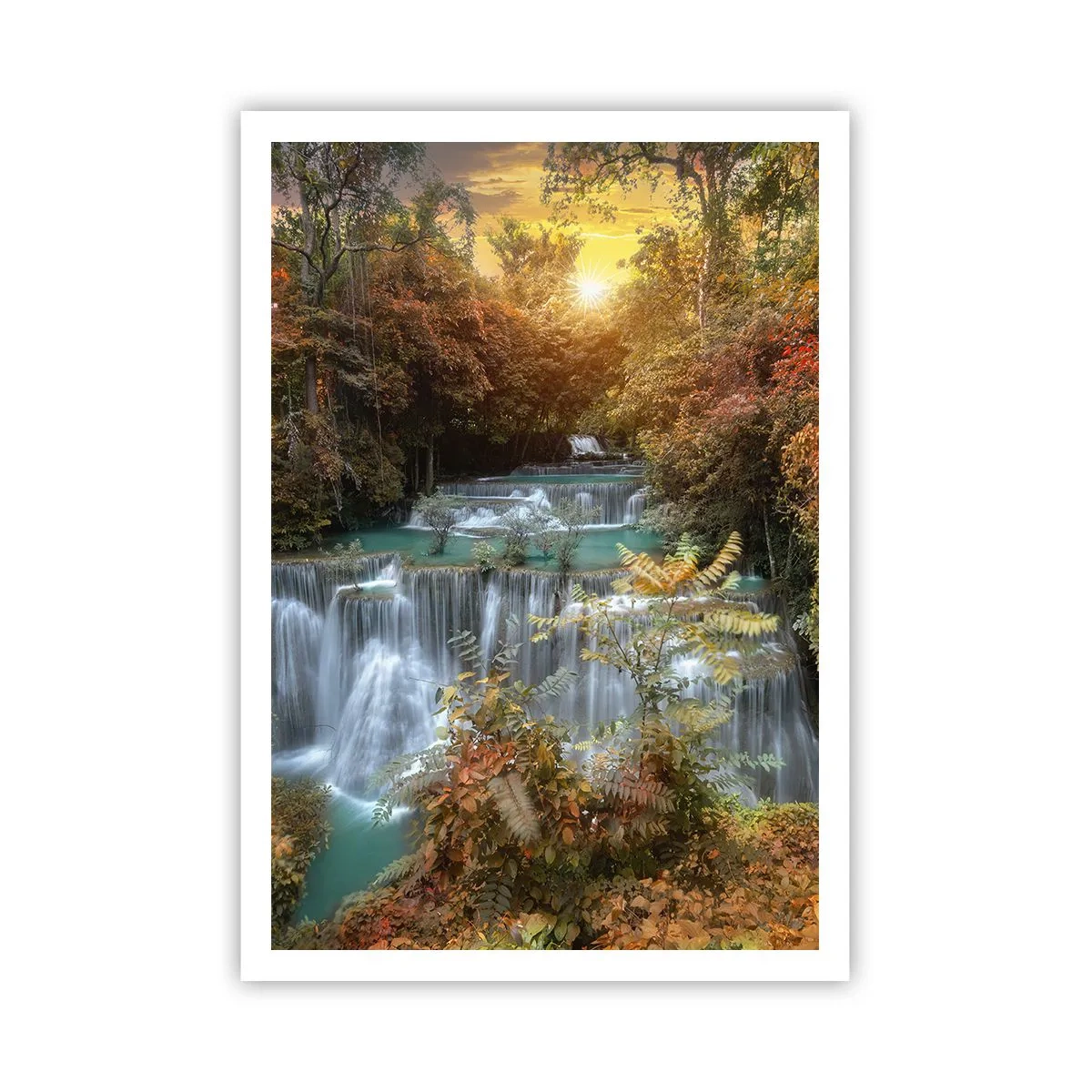 Poster - Hidden Forest Treasure - 70x100 cm