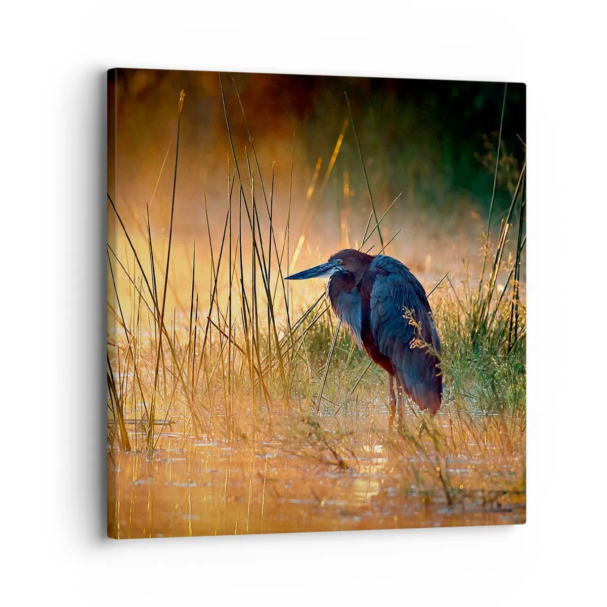 Canvas picture - Stop Taking Pictures - 30x30 cm