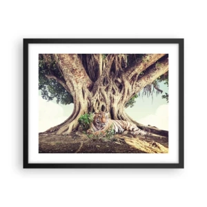 Poster in black frame - View from the Genesis - 50x40 cm