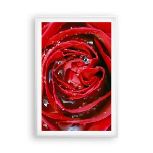 Poster in white frmae - In Dew Drops - 61x91 cm
