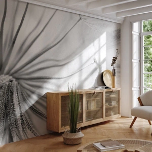 Self-Adhesive Photo Wallpaper Deluxe Sticker - Dandelion Kites - Minimalism, Delicate, Flower - 400x280 cm