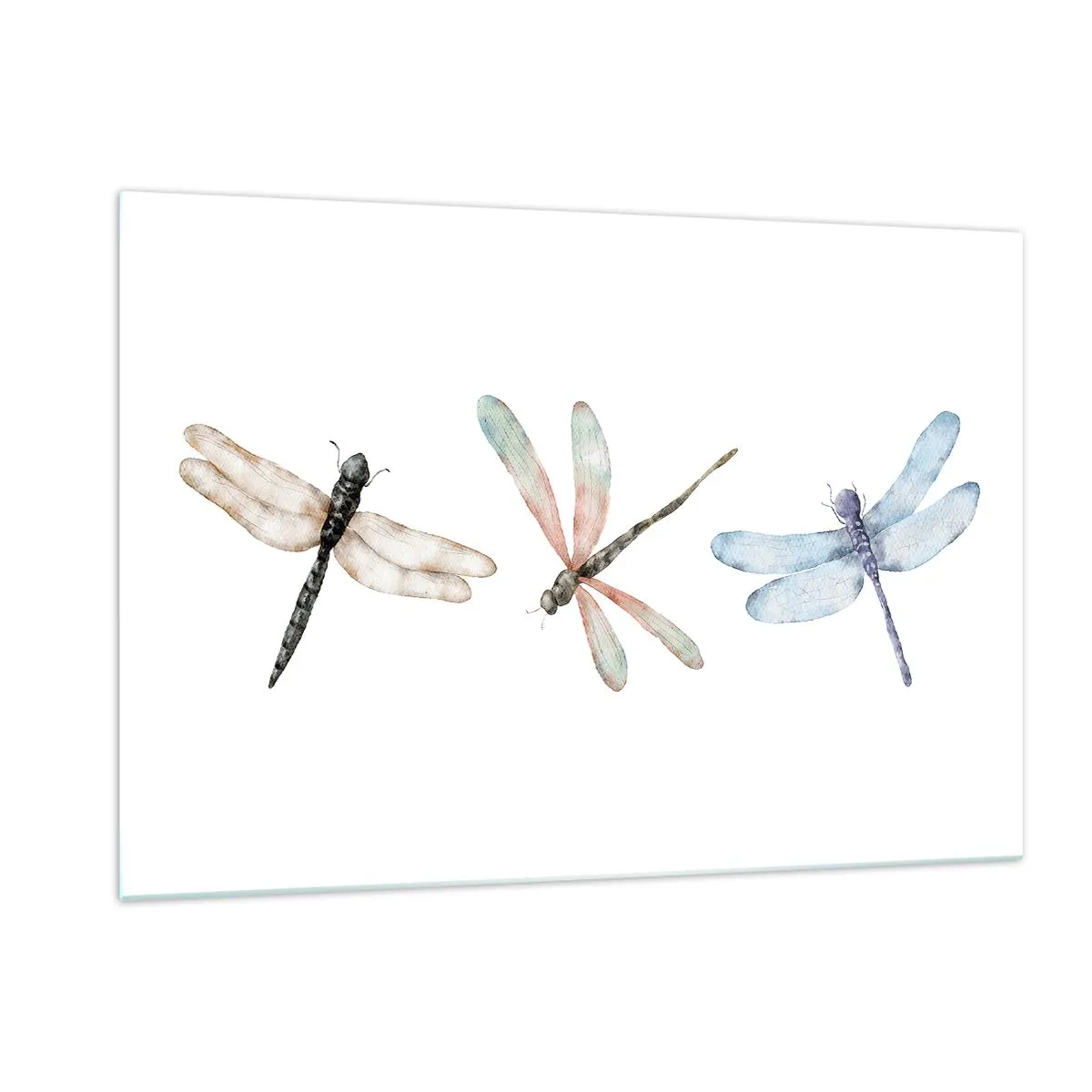 Glass picture - Lightness of Dragonflies  - 120x80 cm