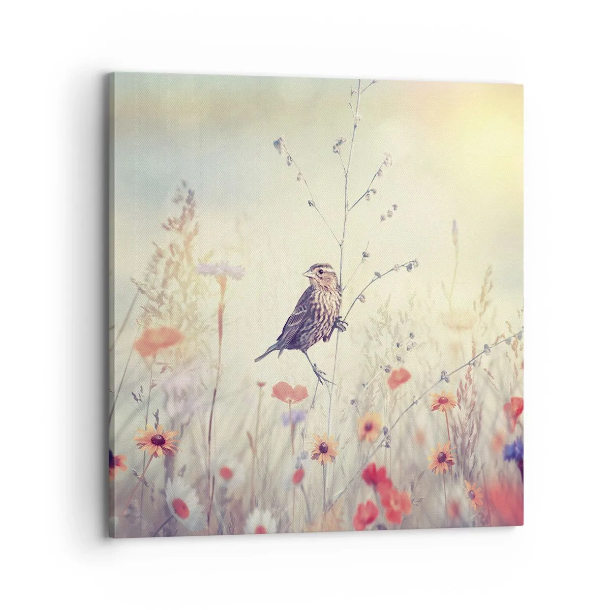 Canvas picture - Bird Portrait with a Meadow in the Background - 70x70 cm