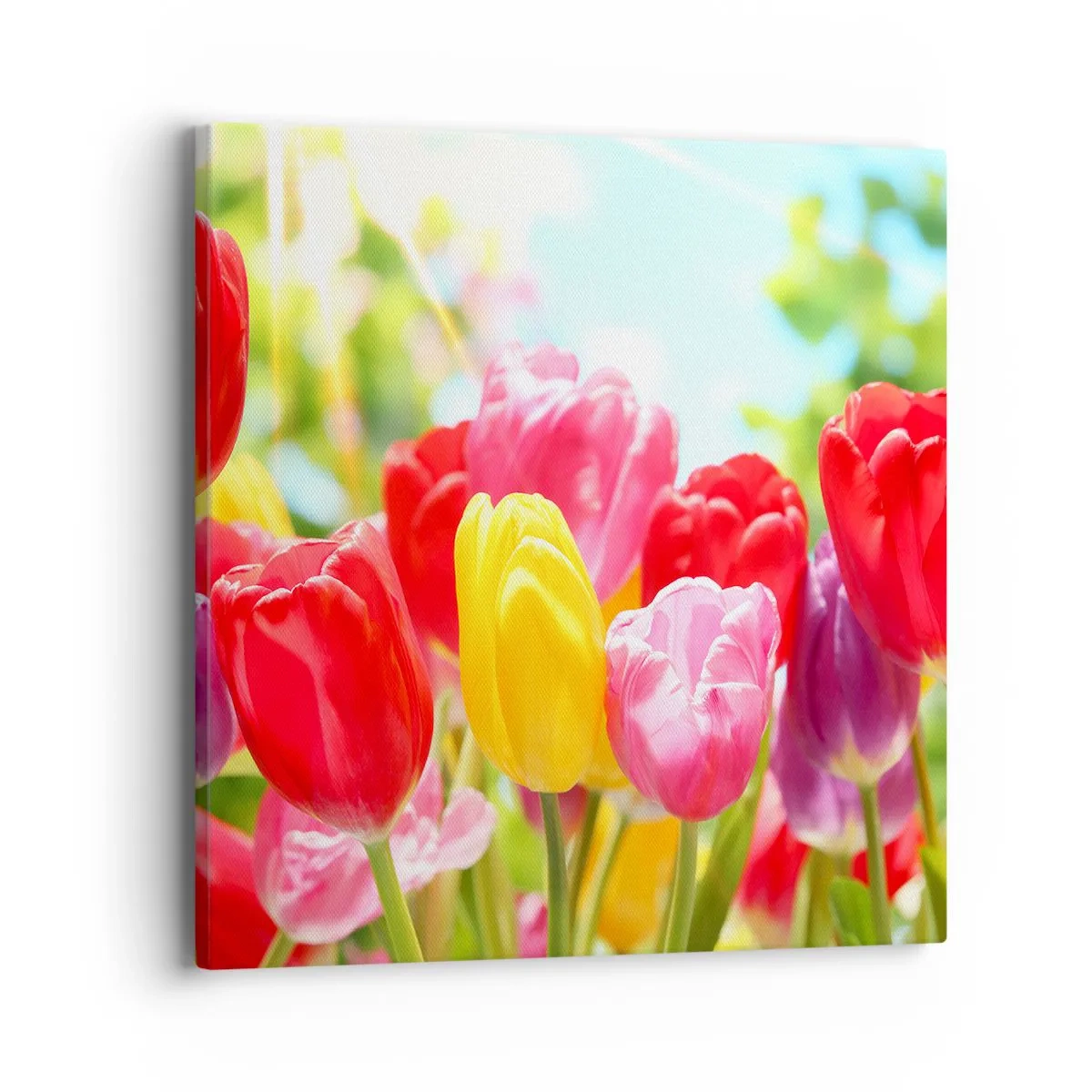 Canvas picture - It is Us, Colour of May! - 40x40 cm