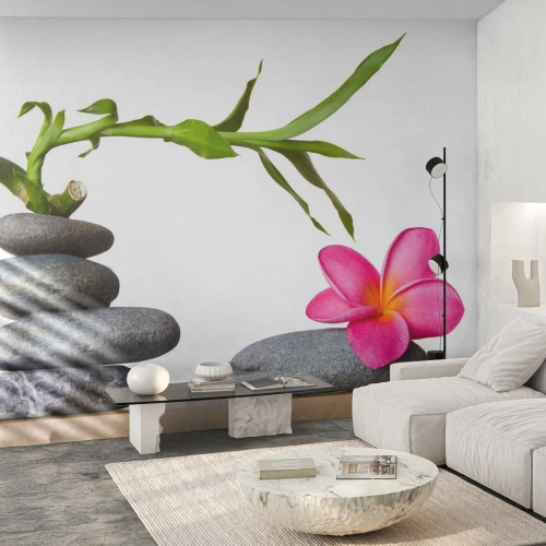 Photo Wallpaper Premium Canvas - Colours of Life - Flower, Stones, Spa - 350x256 cm