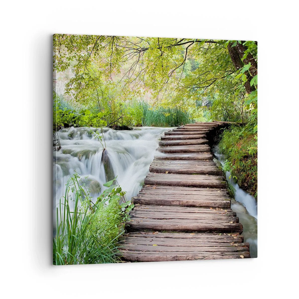 Canvas picture - Not Such Quiet Water - 60x60 cm