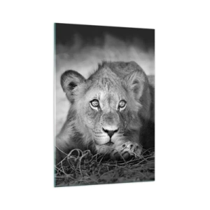Glass picture - Royal Puppy - 70x100 cm