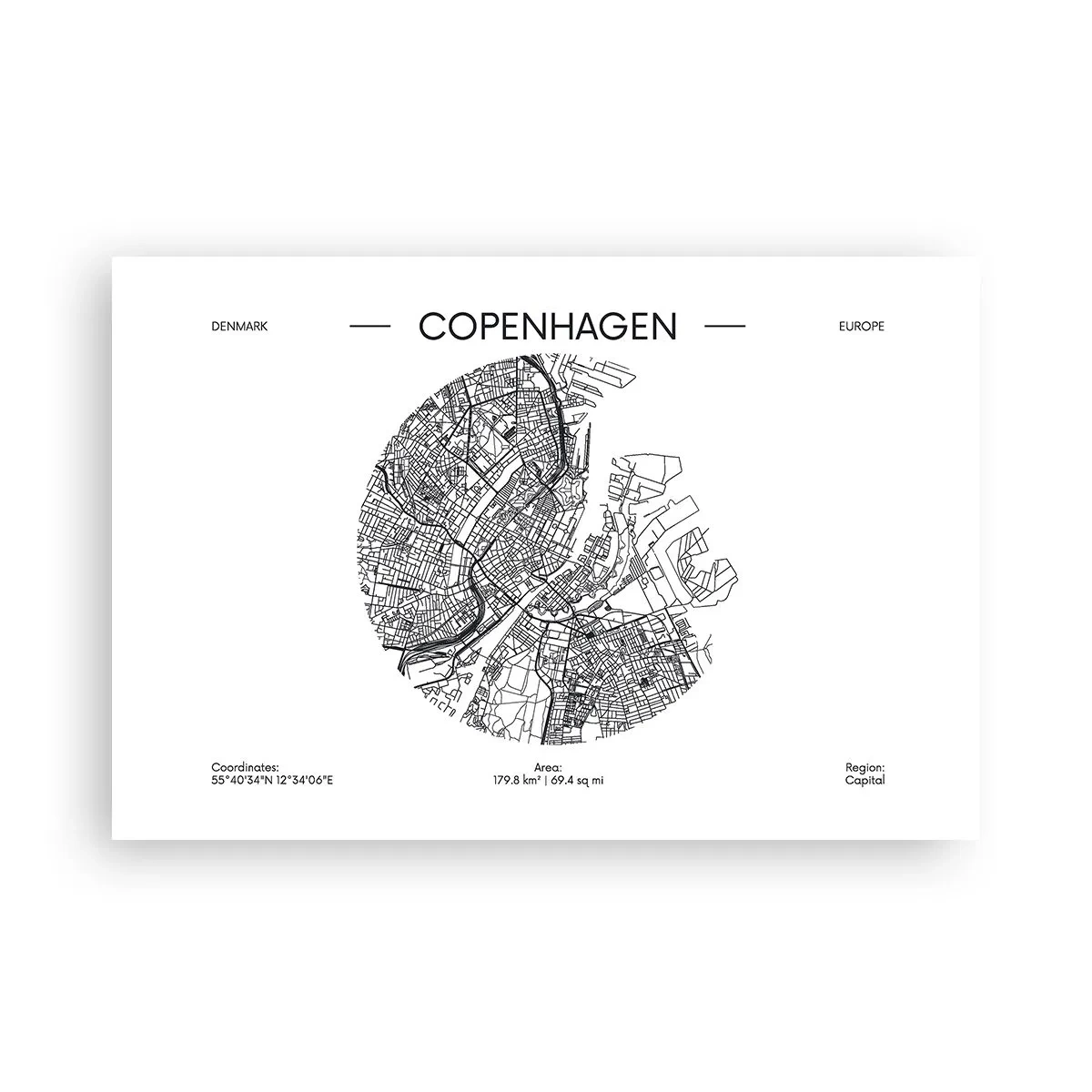 Poster - Anatomy of Copenhagen - 91x61 cm