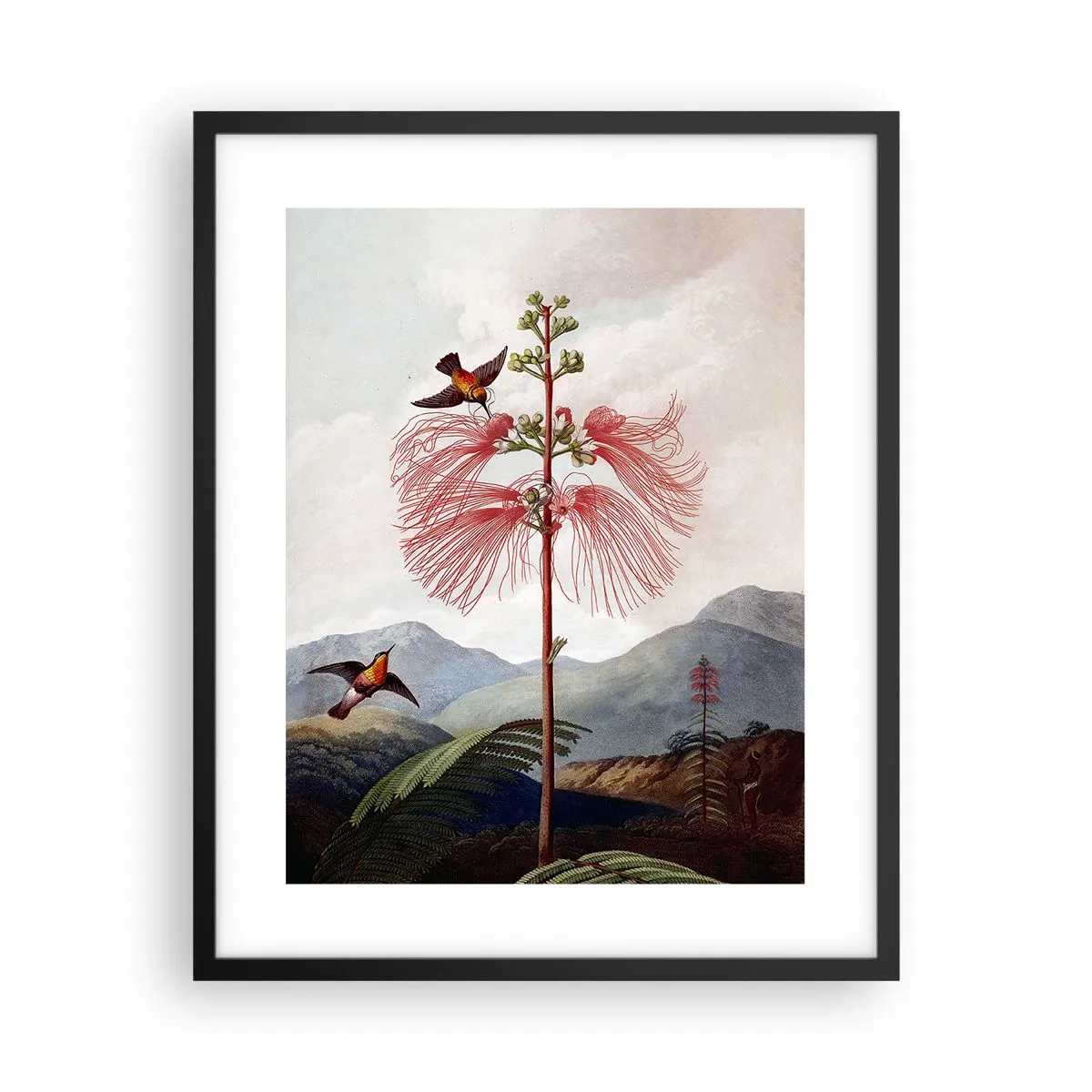 Poster in black frame - In a Tropical Paradise - 40x50 cm