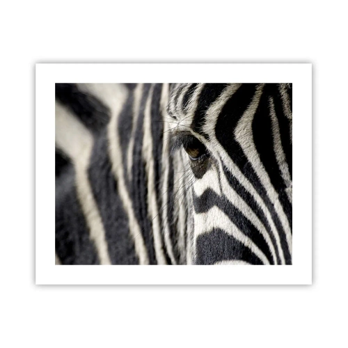 Poster - Striped Portrait - 50x40 cm