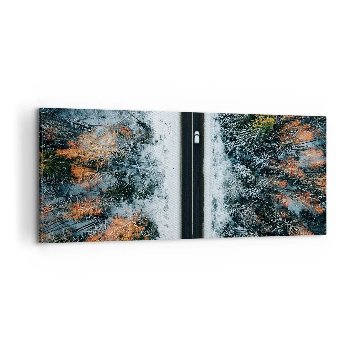 Canvas picture - Through a Wintery Forest - 120x50 cm