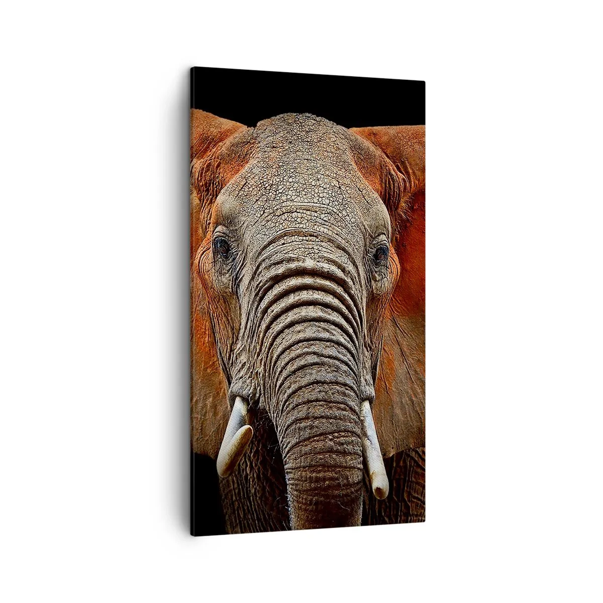 Canvas picture - I am Wild, and You? - 45x80 cm