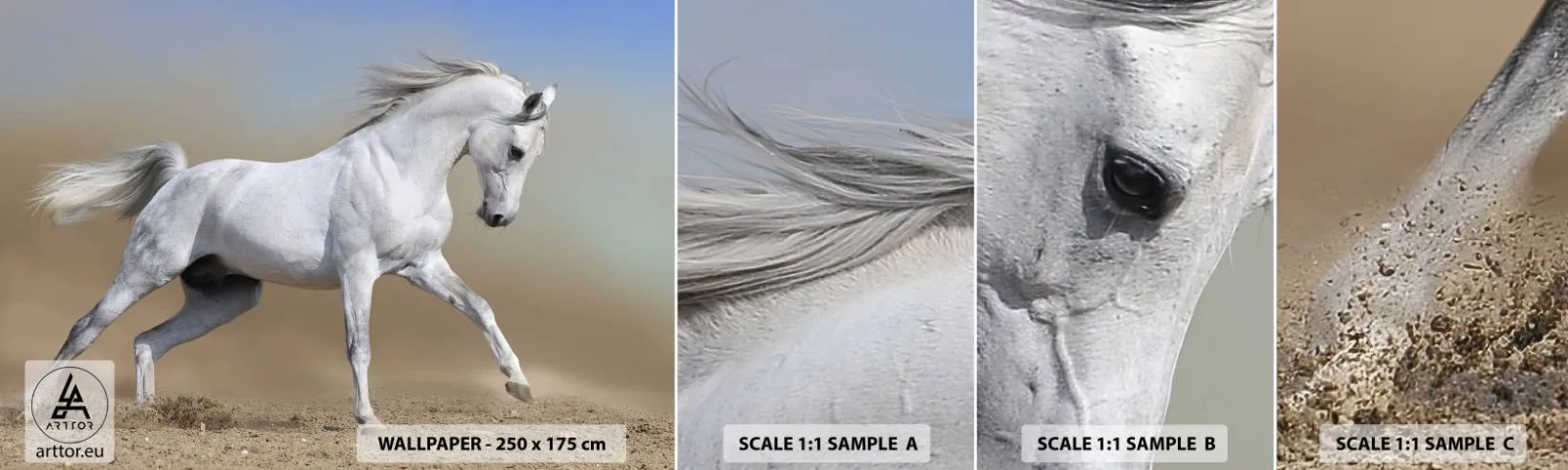 Photo Wallpaper Sample Standard Eco - The Most Beautiful Arabic Tale - Horse, Animals, Gallop - 100x30 cm