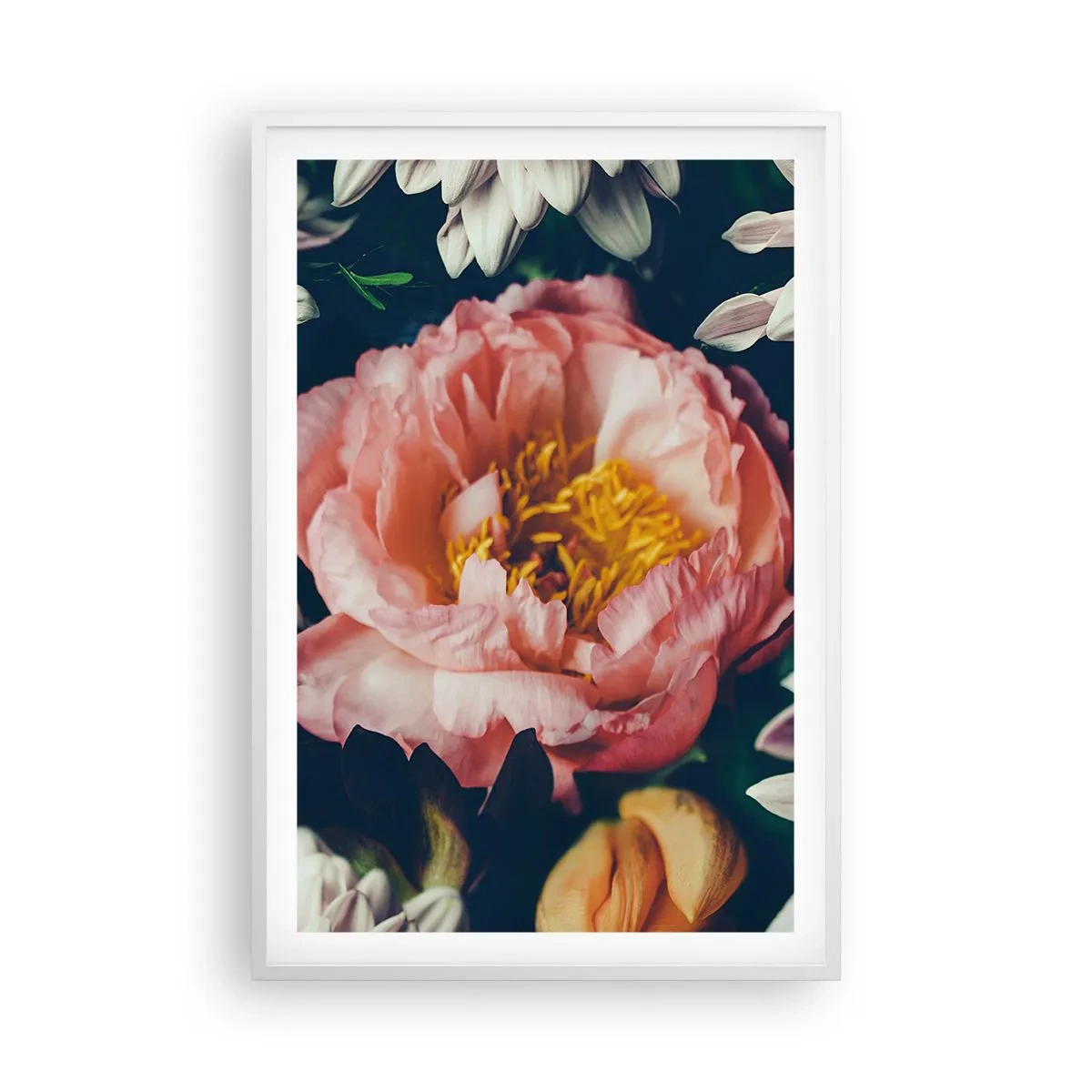 Poster in white frmae - In Baroque Style - 61x91 cm