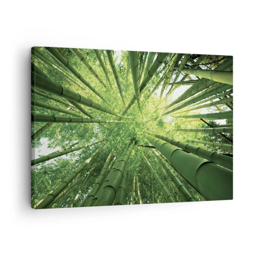 Canvas picture - View up through a green bamboo grove - 70x50cm - In a Bamboo Forest - Modern wall decoration for the living room and bedroom ARTTOR