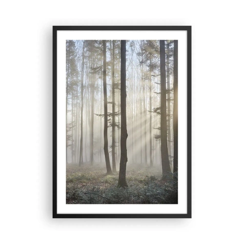 Poster in black frame - A foggy morning in the forest with rays of sunshine - 50x70cm - Fog Has Woken up Too - Modern wall decoration for the living room and bedroom ARTTOR