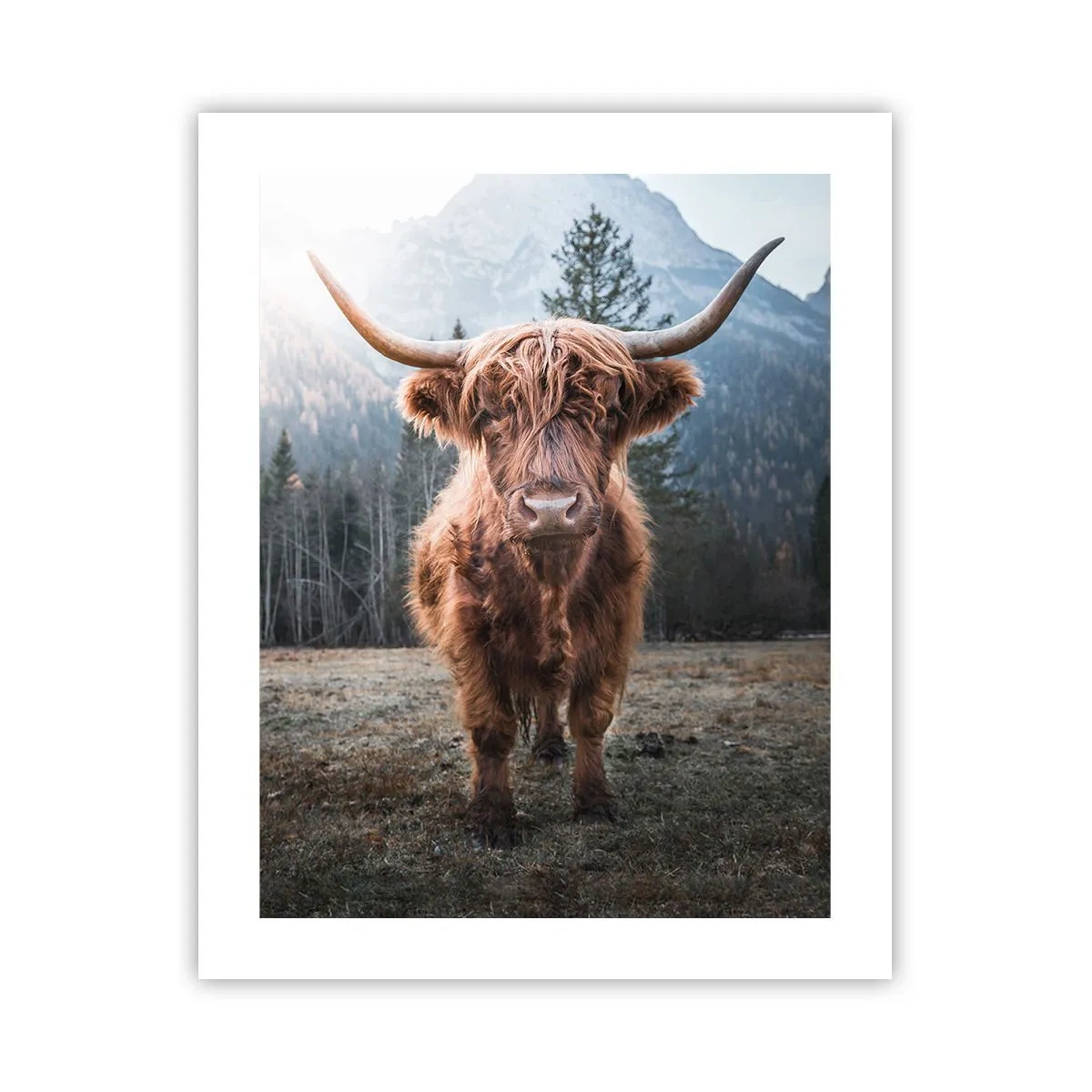 Poster - Greeting from Mountain Meadow - 40x50 cm