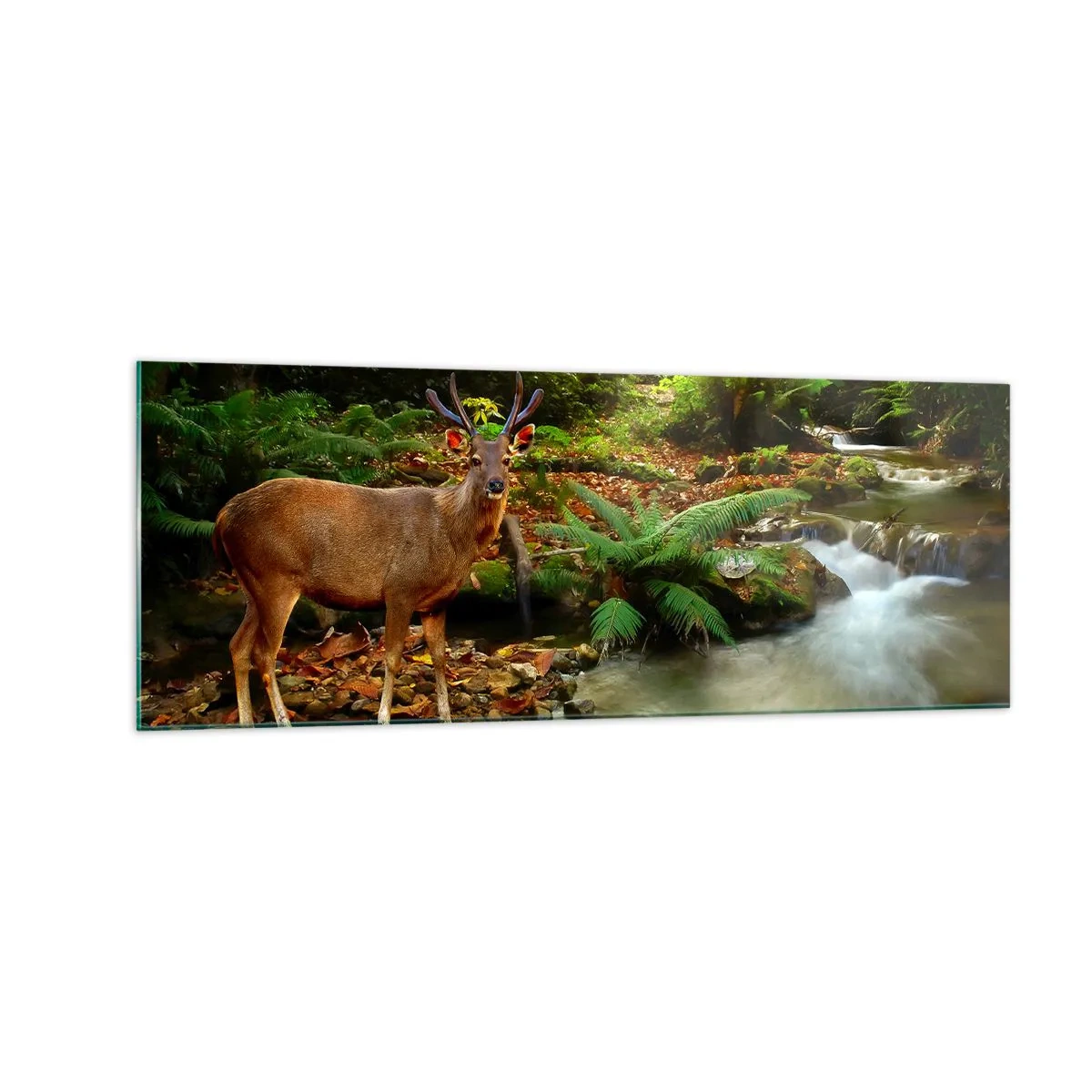 Glass picture - Wlecome to my World - 140x50 cm