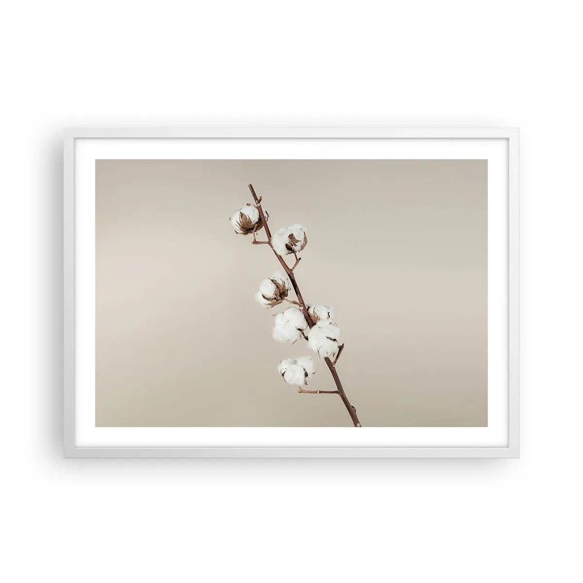 Poster in white frmae - At the Heart of Softness - 70x50 cm