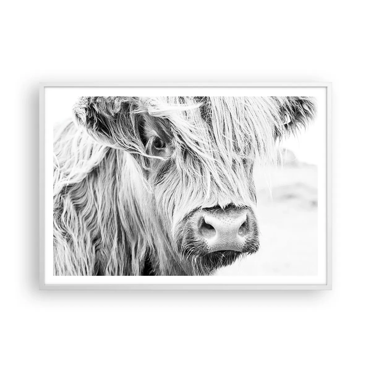 Poster in white frmae - Scottish Wilderness - 100x70 cm