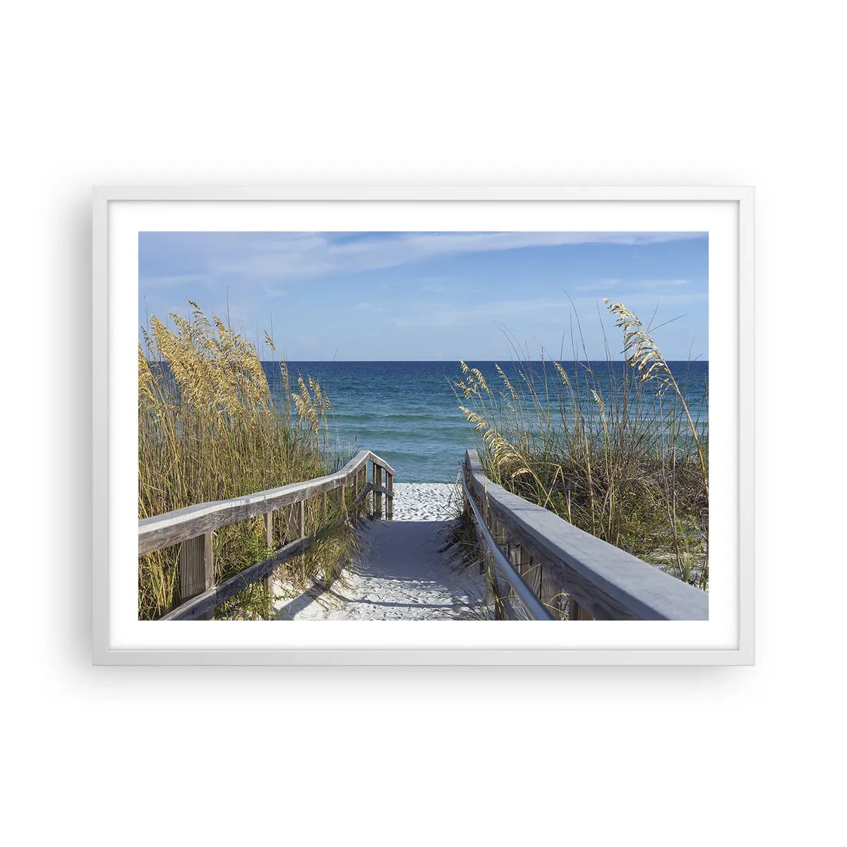 Poster in white frmae - In the Sun, out in the Wind - 70x50 cm