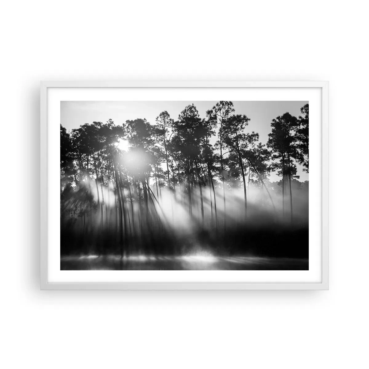 Poster in white frmae - Unstoppable Sun - 70x50 cm